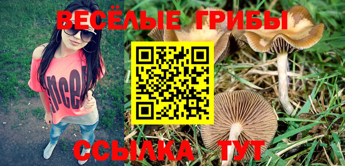 Галлюциногенные грибы Cubensis  Галлюциногенные грибы MAGIC MUSHROOMS  Вход с VPN  Смоленск 
